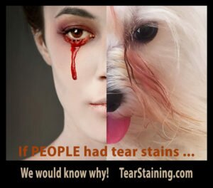 Please take our tear stain questionnaire.